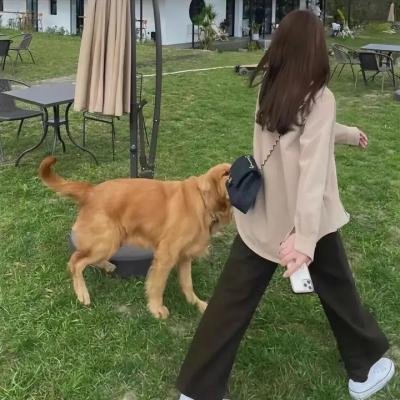 梦幻书院第七季